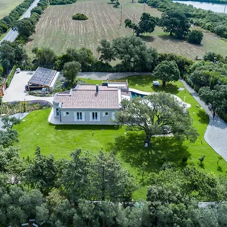 Villa Golden Root Real Estate